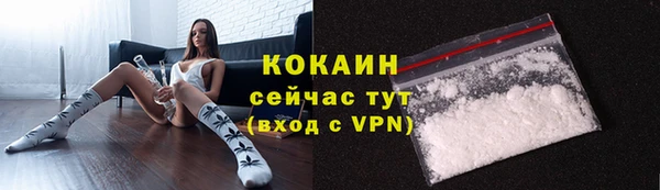 прущие грибы Магадан
