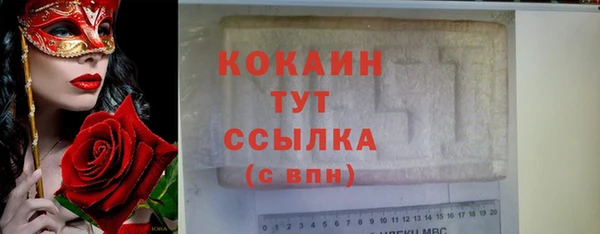 прущие грибы Магадан