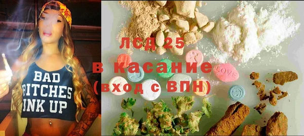 прущие грибы Магадан