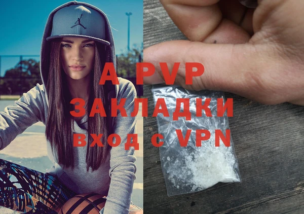 прущие грибы Магадан