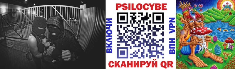 Псилоцибиновые грибы Psilocybe  OMG ТОР  Нестеровская 